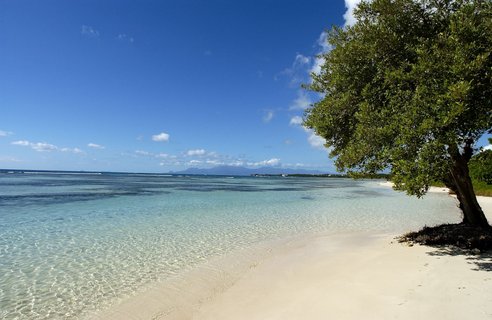 Antilles fran?aisela GuadeloupeGrande Terrela plage de Bois Jolan ? Sainte Anne