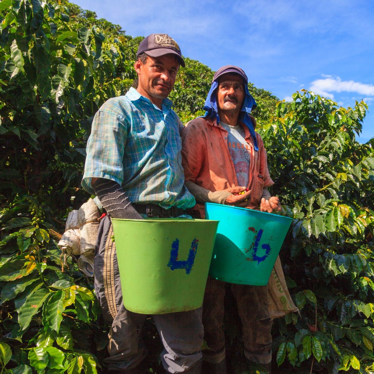 Kaffee Farm - Kolumbien Rundreise 2 Wochen