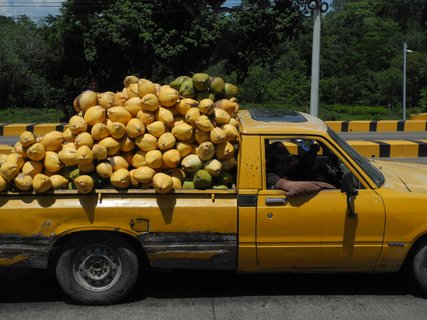 Guatemala Rundreise - Pick Up mit Palmfrüchten