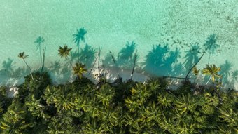 Schatten von Palmen im türkisfarbenen Wasser auf Corn Island