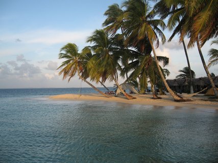 Panama Familienreise - San Blas Insel mit Palmen