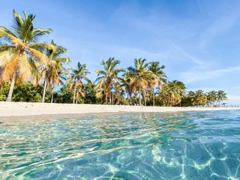 Türkisblaues Meer und Palmen