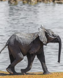 Namibia 2 Wochen Rundreise