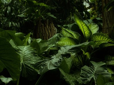 nicaragua urlaub