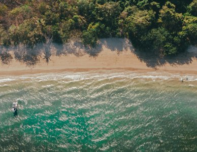Vogelperspektive auf Strand mit Palmen und türkisem Wasser - Highlight in Costa Rica