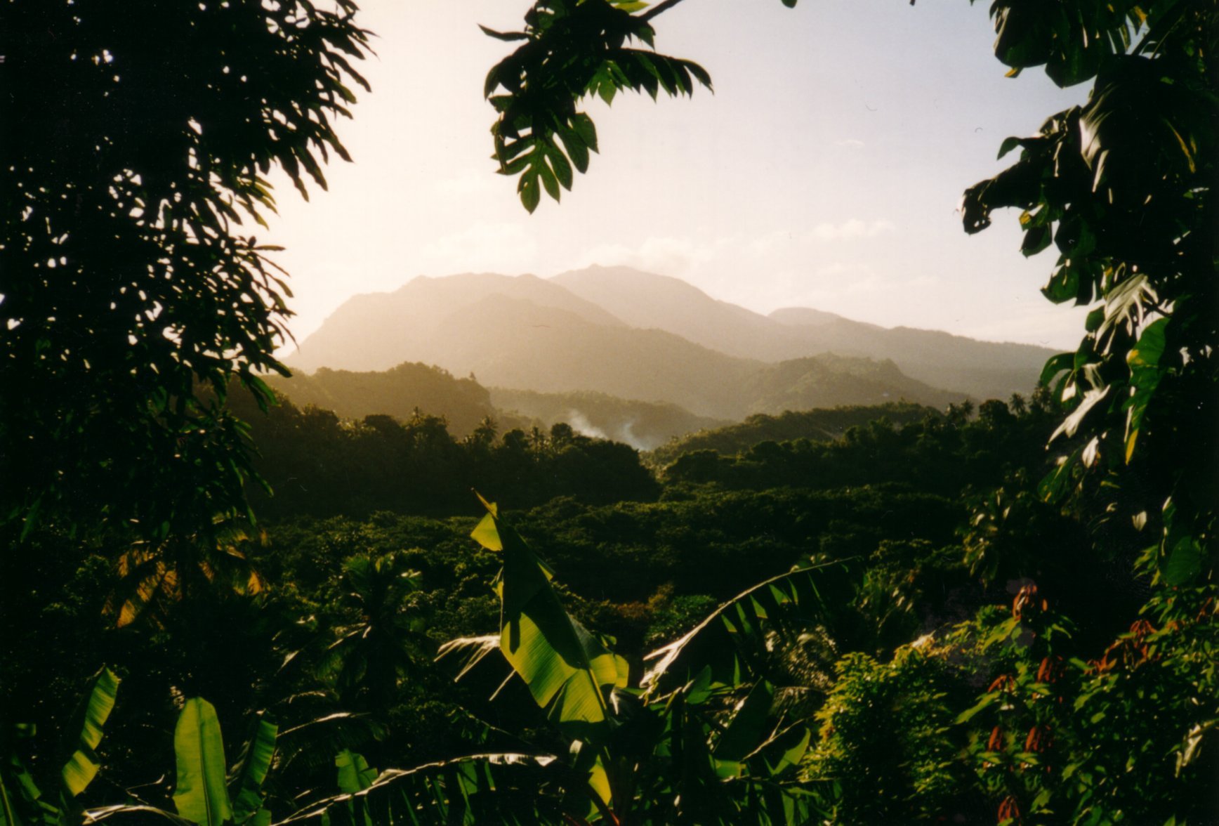 Dschungel mit Blick auf grüne Berge - Guadeloupe und Dominica Highlights