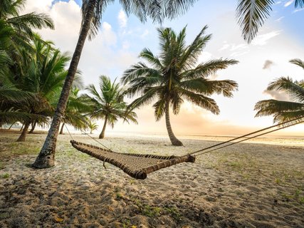 ???????????????????????????????????? Hammock between palms on sandy beach