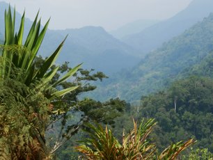 Trekking zur Ciudad Perdida
