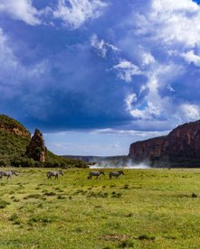 grüne Weide mit Bergen im Hintergrund in kenia