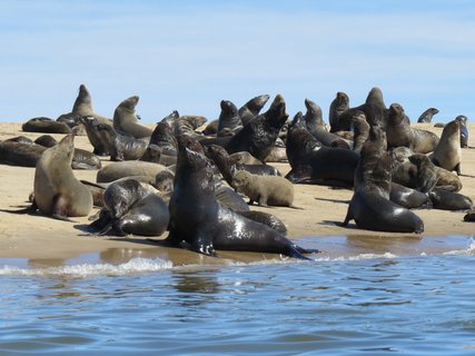 Namibia 2 Wochen Rundreise