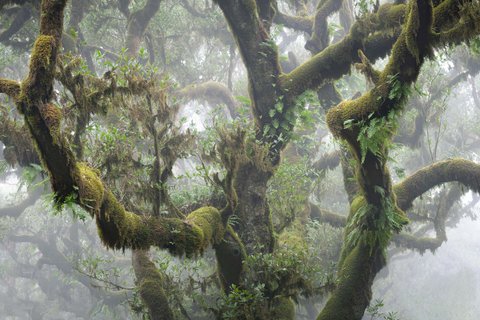 Fotoreise Madeira 