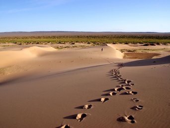 Fussabdrücke durch den Sand führend - Gobi Wüste in Mongolei
