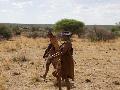Zwei 2 Sans laufen durch Savanne - Botswana Highlights