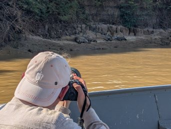 Mann fotografiert Jaguare vom Boot