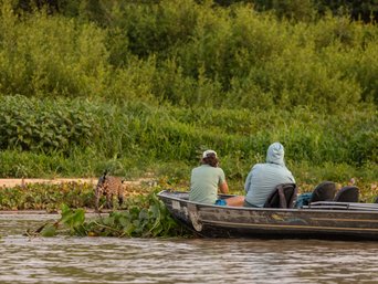 Zwei Personen beobachten einen Jaguar vom Boot aus