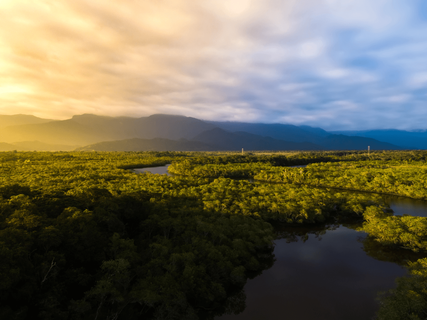 Gruppenreise Brasilien - Panorama Amazonas
