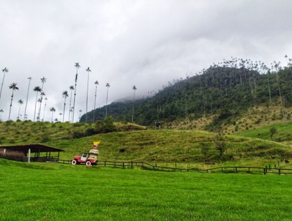 kolumbien gruppenreise - Landschaft mit Palmen