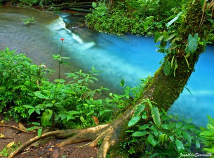 Costa Rica 2 Wochen Gruppenreise - Rio Celeste