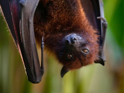 Indonesien Rundreise 2 Wochen