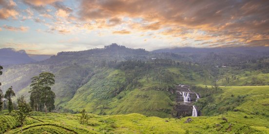 Hochlandpanorama mit Teeplantage und Wasserfall im Dämmerlicht 