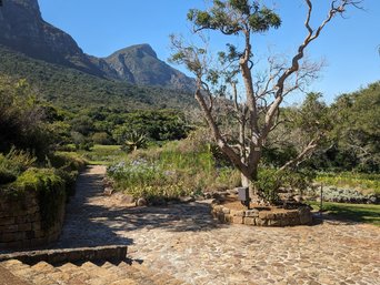 ein Botanischer Garten mit Bergen