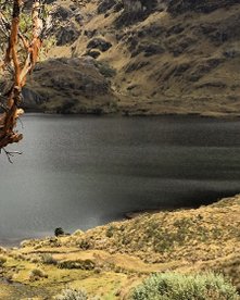 Dunkler See und mystische Landschaft