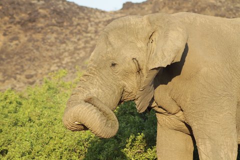 Namibia 2 Wochen Rundreise