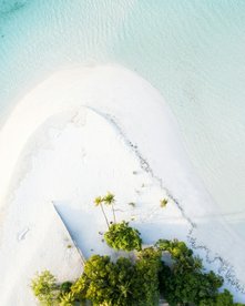 Weißer Sandstrand und Palmen von oben