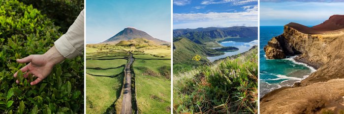 Azorengewinnspiel 2025 travel-to-nature