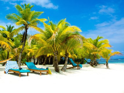 Palmenbestandener Strand South Water Caye