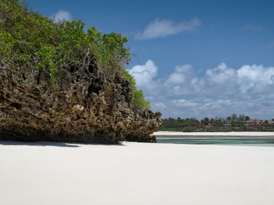 Weißer Sanstrand mit Mangroven - Kenia Highlights