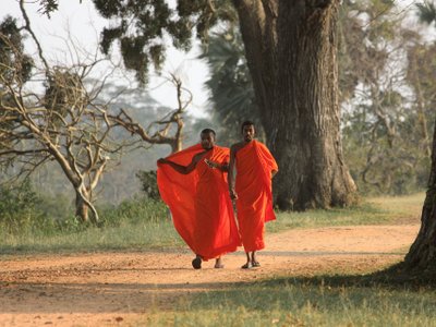 Beste Reisezeit Sri Lanka