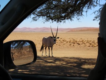 Beste Reisezeit Namibia