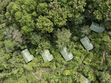Regenwald Costa Rica Rundreise 4 Wochen