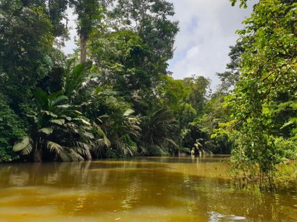 Costa Rica Karibik - Fluss