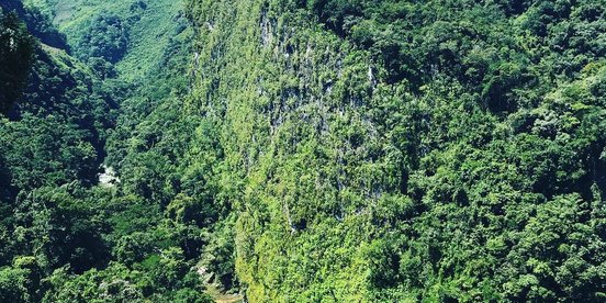 Ausblick auf den Semuc Champey
