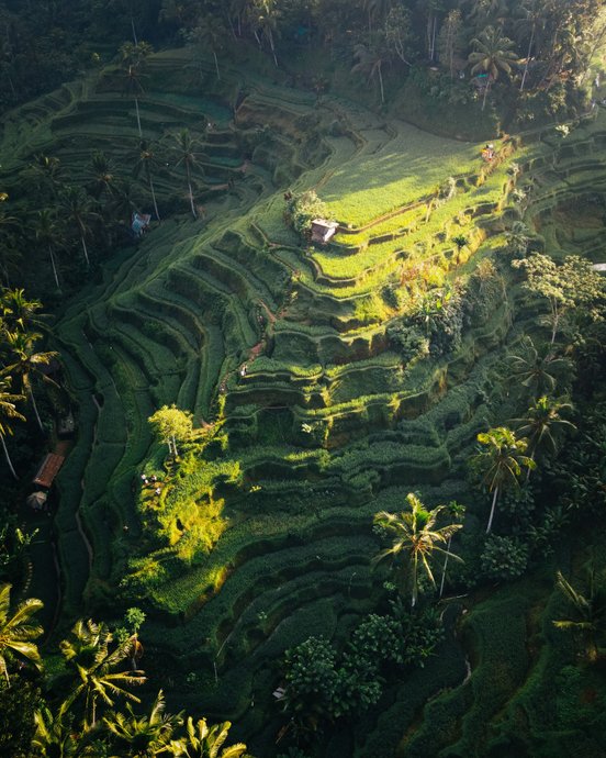 Reisterassen Bali Sonneschein - Indonesien Rundreise