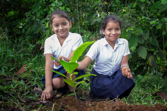 Zwei kleine Schulmädchen pflanzen einen Baum in La Tigra