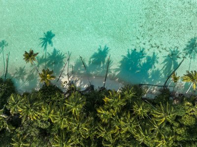 Palmen und türkiser Strand von oben Corn Island - Nicaragua Highlights