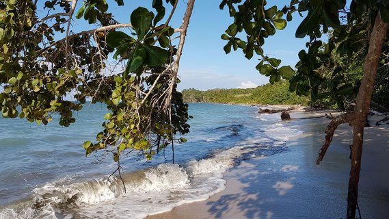 Costa Rica Wanderreise - Strand Karibik