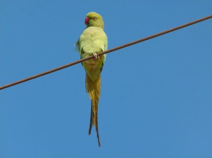 Südindien Rundreise