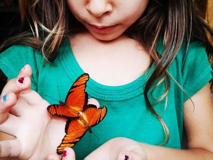 Costa Rica Familienreise - Mädchen mit Schmetterling