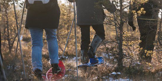 Menschen beim Wandern im Moor