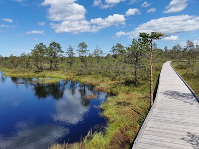 Naturreisen Europa/ Natururlaub Europa