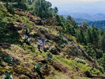 TrekkingMorazan