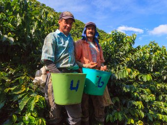 Menschen im Garten - Kolumbien - Sicherheit