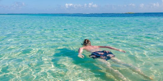 Belize- Mann schnorchelt im klaren wasser