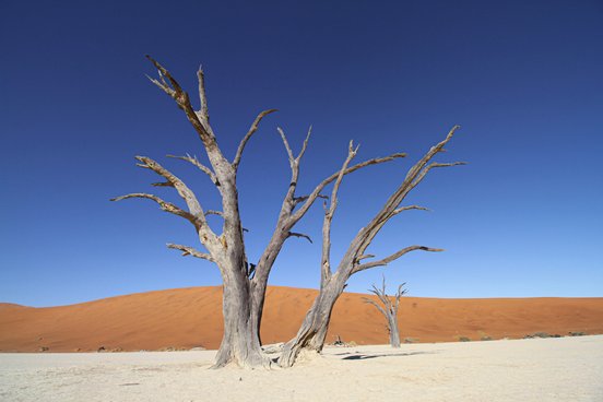 Reisen nach Namibia