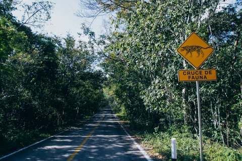 Yucatan Rundreise 2 Wochen - Straße durch den Dschungel