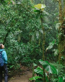 Frau steht im Nebelwald in Costa Rica